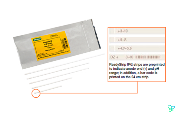 Стрип IPG готовый, 7 см, pH 6.3-8.3, 12 шт/уп