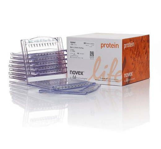 Гели залитые, Bolt 10% Bis-Tris Plus Gels, 12 лунок