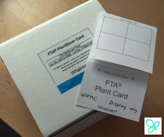 Карта FTA PlantSaver Card, растительный гомогенизат, хранение до 2х лет, до 25 мкл, 4 места