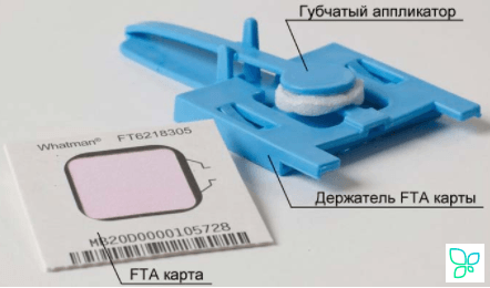 Зонды-аппликаторы щечные EasiCollect+, с интегрированной FTA картой с индикатором, для сбора слюны/клеток буккального эпителия