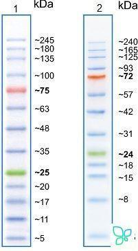 Маркеры белковые молекулярного веса, предокрашенные, Prism Ultra, 3.5-245 кДа, 13 полос