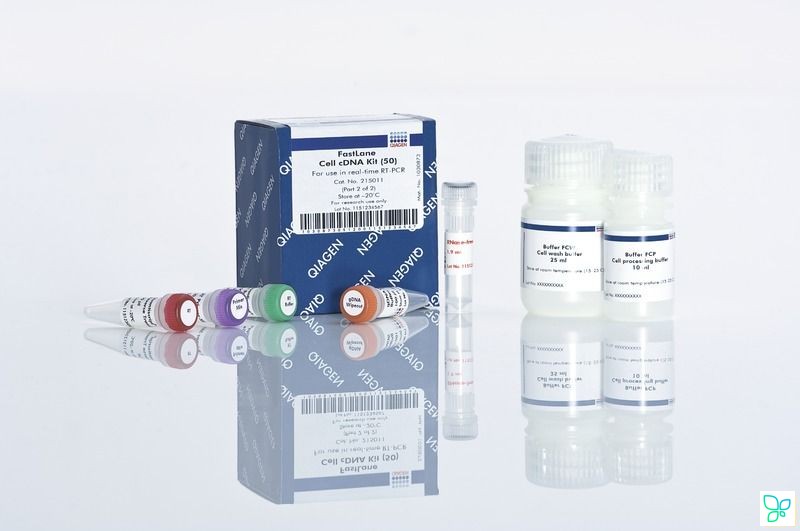 Набор FastLane Cell cDNA Kit 50