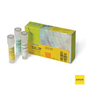 Набор iScript cDNA Synthesis Kit