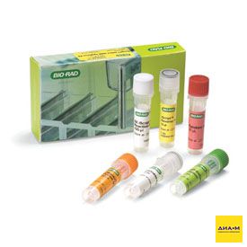 Набор iScript Select cDNA Synthesis Kit