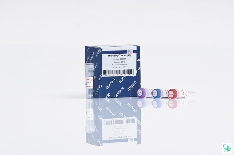 Набор Omniscript RT Kit