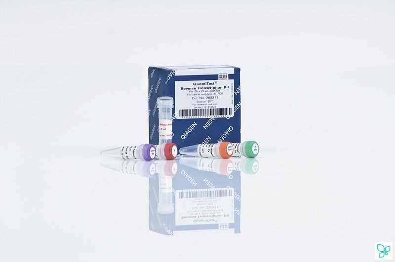 Набор QuantiTect Rev. Transcription Kit