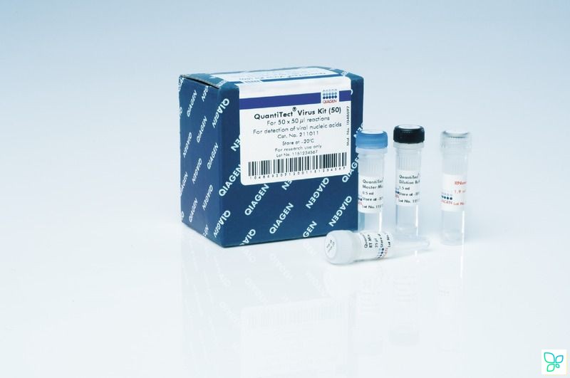 Набор QuantiTect Virus +ROX Vial Kit