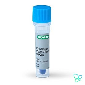 Краситель для реакционной смеси ПЦР Precision Blue Real-Time PCR Dye
