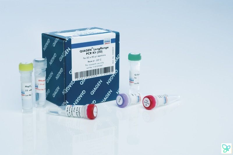 Мастер-микс для амплификации длинных фрагментов LongRange PCR Kit