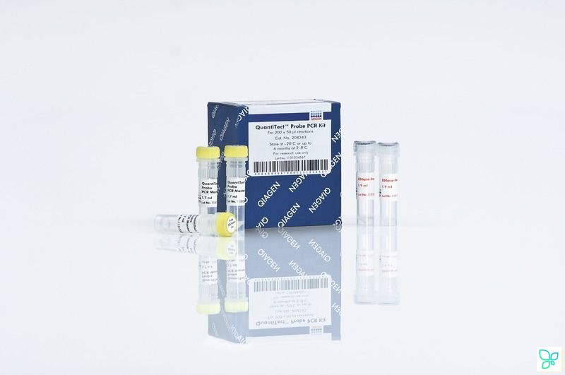 QuantiTect Probe PCR Kit