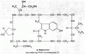 Аманитин-альфа, α-Amanitine BioChemica, AppliChem, 1 мг A1485,0001