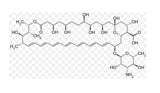 Амфоретицин B, для биохимии, Amphotericin B BioChemica, Applichem, 250 мг A1907,0250