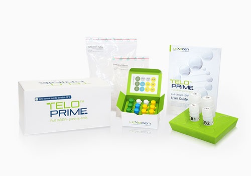 Комплект дополнительных ПЦР-реагентов TeloPrime PCR Add-on Kit V2 для наборов TeloPrime Amplification Kit V2
