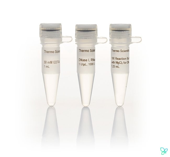 ДНКаза I, раствор, не содержит РНКаз, 1 ед/мкл