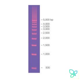 Маркер молекулярной массы EZ Load 500bp, 50–8000, 16 фрагментов