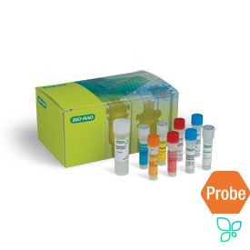 Набор для ОТ-количественной ПЦР SingleShot Probes Kit