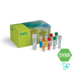 Набор для ОТ-количественной ПЦР SingleShot SYBR Green Kit