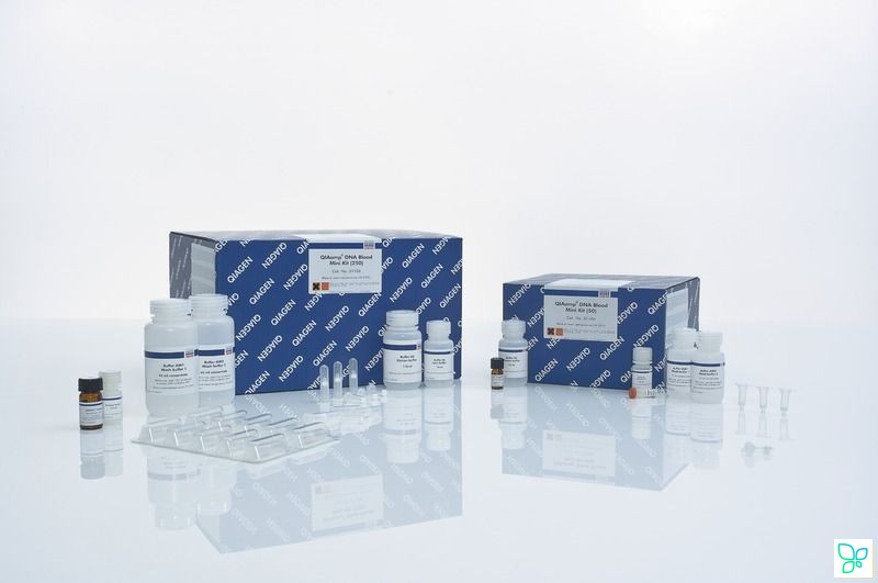 Набор для выделения ДНК из крови QIAamp DNA Blood Mini Kit