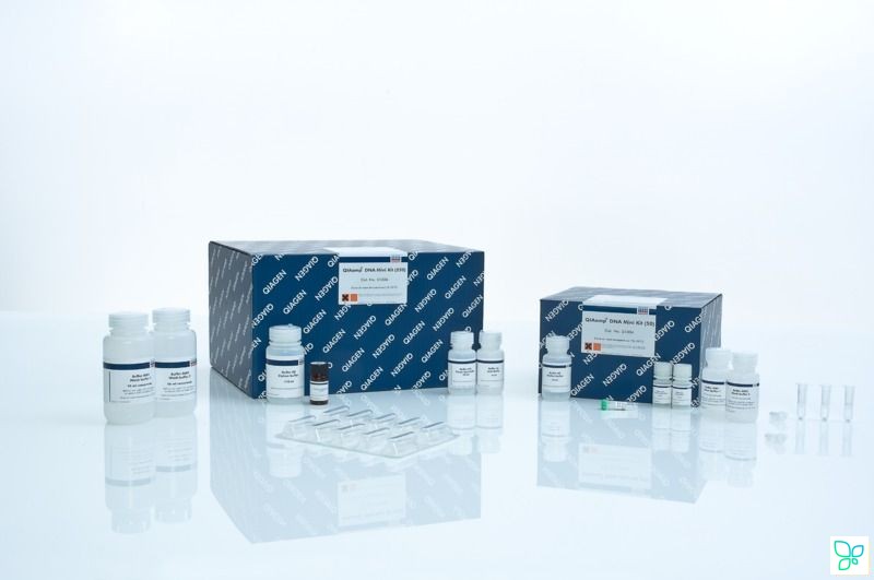 Набор для выделения общей ДНК QIAamp DNA Mini Kit