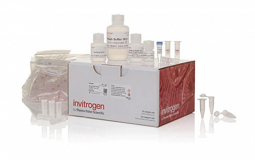 Набор для выделения РНК PureLink FFPE RNA Isolation Kit