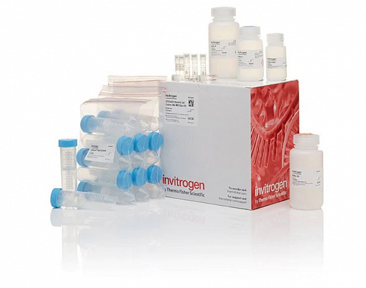 Набор JetQuick Blood and Cell Culture DNA Midiprep Kit