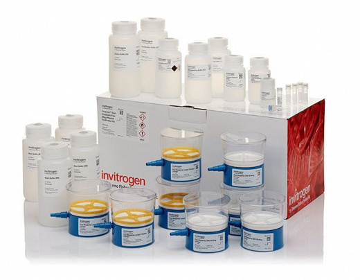 Набор PureLink Expi Endotoxin-Free Mega Plasmid Purification Kit