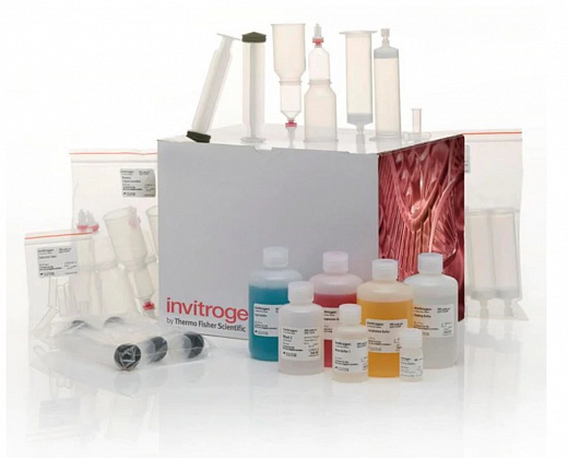 Набор PureLink Fast Low-Endotoxin Maxi Plasmid Purification Kit