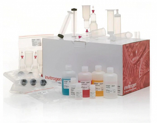 Набор PureLink Fast Low-Endotoxin Midi Plasmid Purification Kit