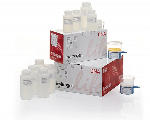 Набор PureLink HiPure Expi Plasmid Megaprep Kit