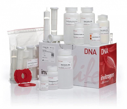 Набор PureLink HiPure Plasmid Filter Maxiprep Kit