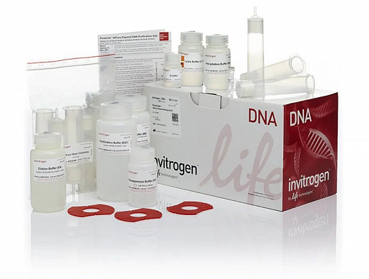Набор PureLink HiPure Plasmid Maxiprep Kit