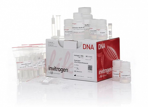 Набор PureLink HiPure Plasmid Miniprep Kit