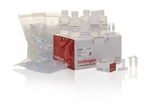 Набор PureLink HQ Mini Plasmid DNA Purification Kit