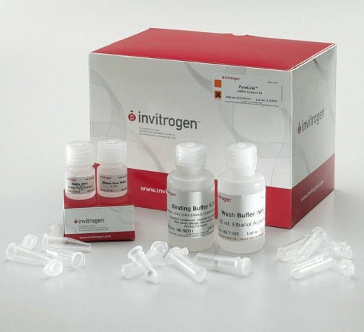 Набор PureLink miRNA Isolation Kit