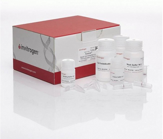 Набор PureLink Quick Gel Extraction and PCR Purification Combo Kit