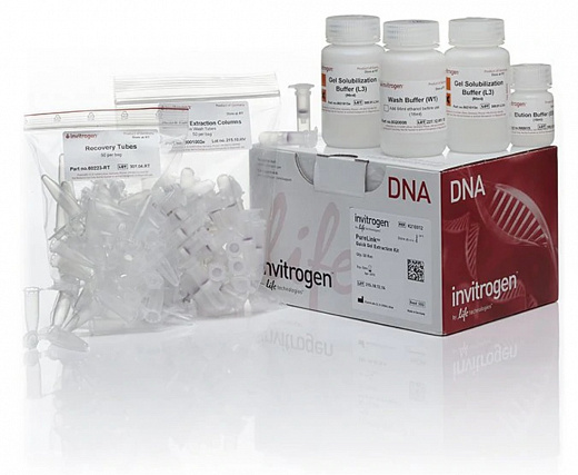 Набор PureLink Quick Gel Extraction Kit