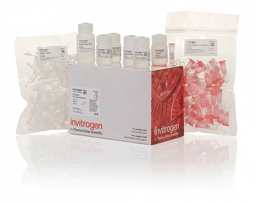 Набор PureLink Quick Plasmid Miniprep Kit