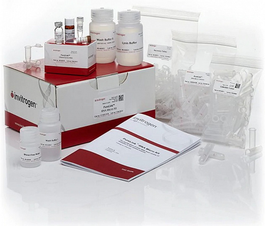 Набор PureLink RNA Micro Scale Kit