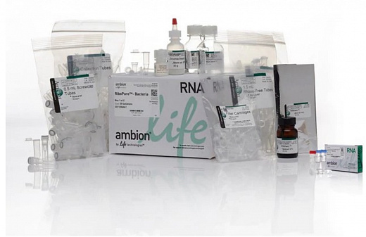 Набор RiboPure RNA Purification Kit, bacteria