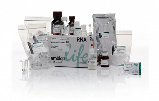 Набор RiboPure RNA Purification Kit, yeast