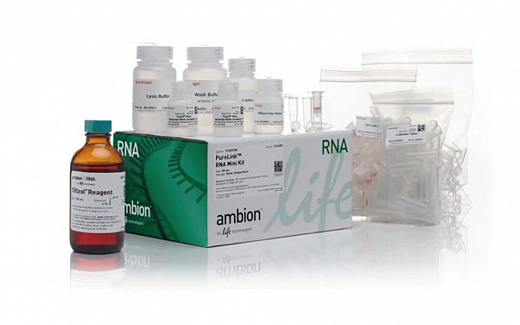 Набор TRIzol Plus RNA Purification Kit